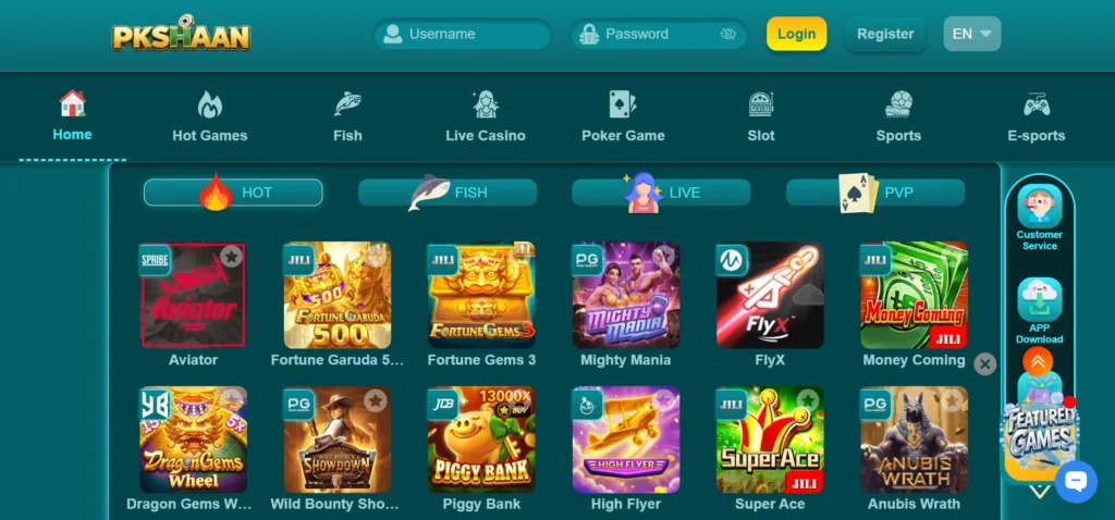 pkshaan game dashboard