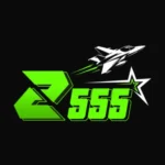 z555 gamel ogo image