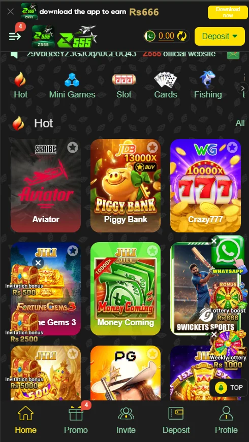 z555 game home interface